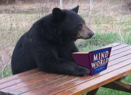 A bear reading John McDowell